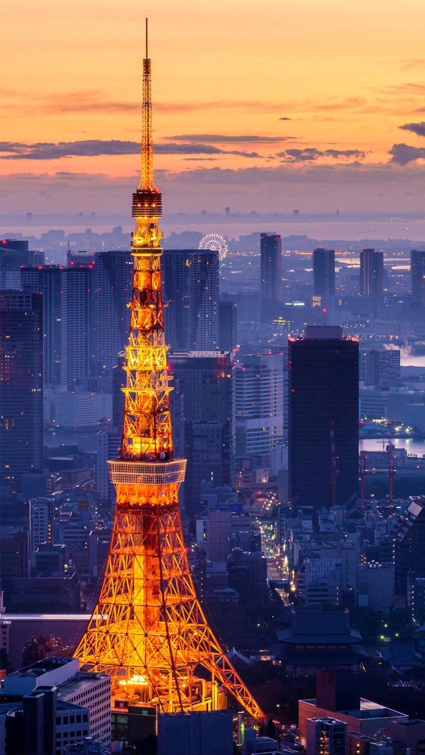 【日帰り旅行】東京、鎌倉