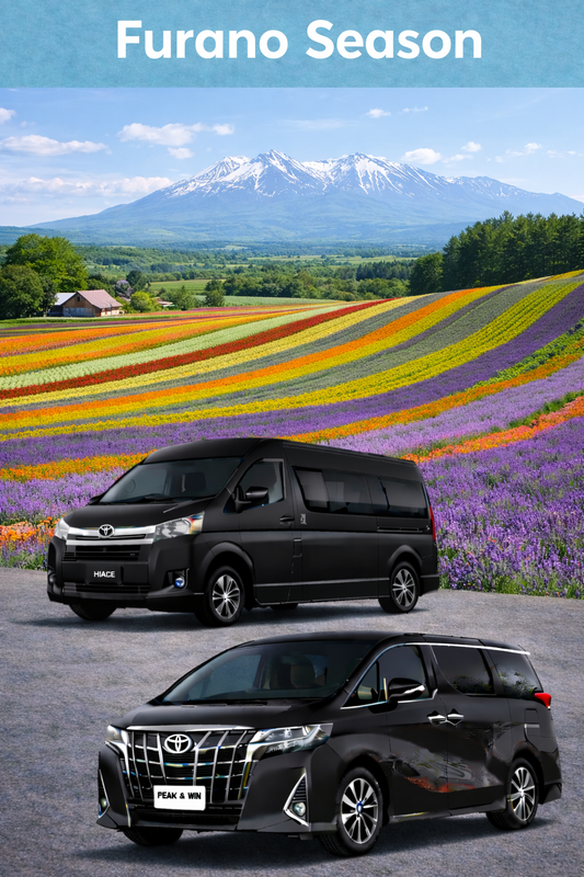 【Day trip】🌻 Hokkaido Summer One-Day Tour (From Sapporo)