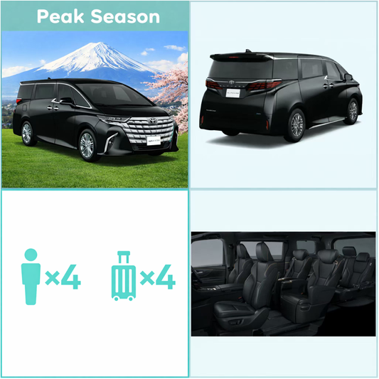 【Day trip】🌻 Hokkaido Summer One-Day Tour (From Sapporo)